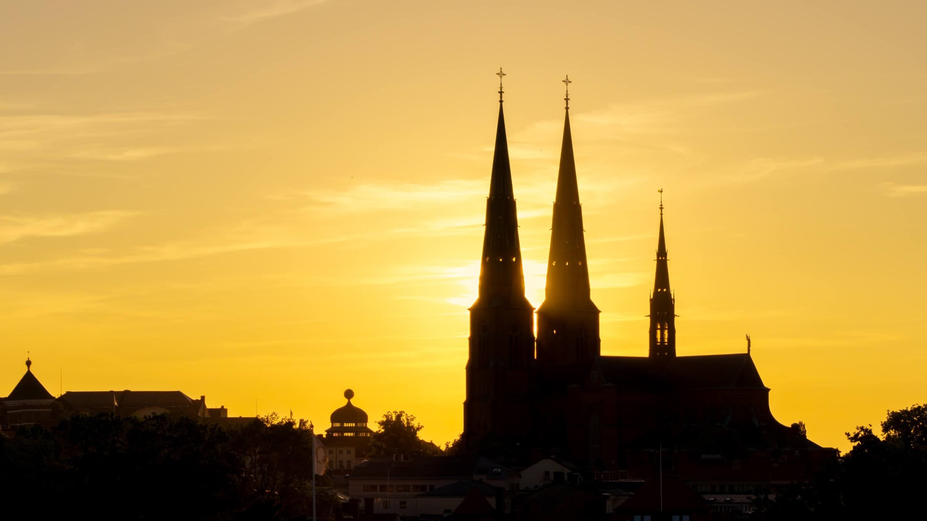 Souvenir Uppsala