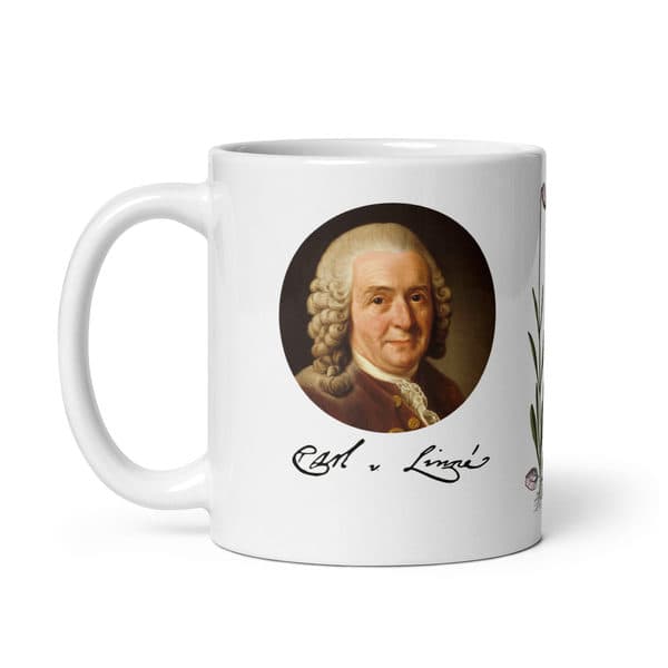 The Linnaeus Mug